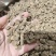 四川牛膝，怀牛膝。药厂饮片厂规格齐全实物拍摄量大从优
