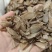 郁金各种各样的规格，现拍实况图片规格等。