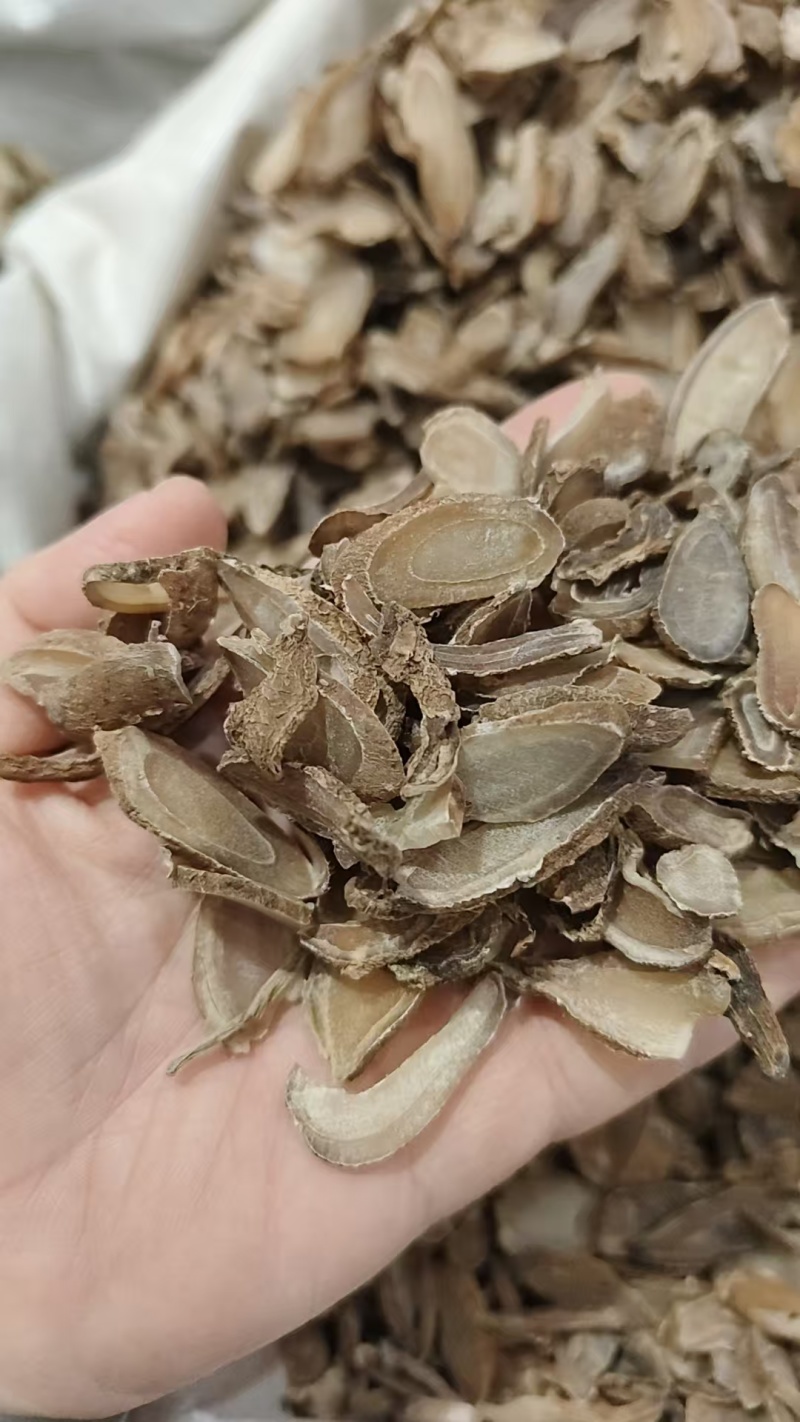 郁金各种各样的规格，现拍实况图片规格等。