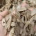 郁金各种各样的规格，现拍实况图片规格等。
