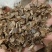 郁金各种各样的规格，现拍实况图片规格等。