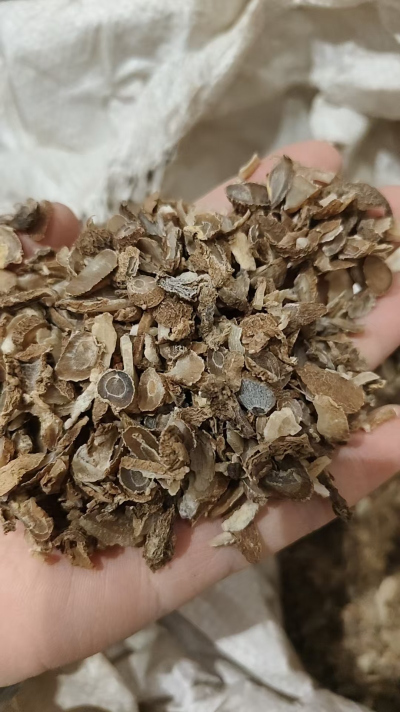 郁金各种各样的规格，现拍实况图片规格等。