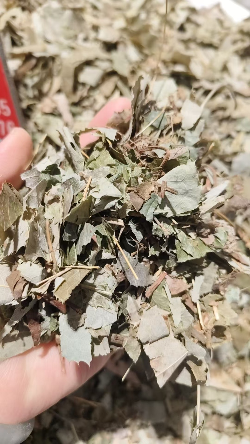 中药材淫羊藿批发零售规格齐全实物拍摄如假包换