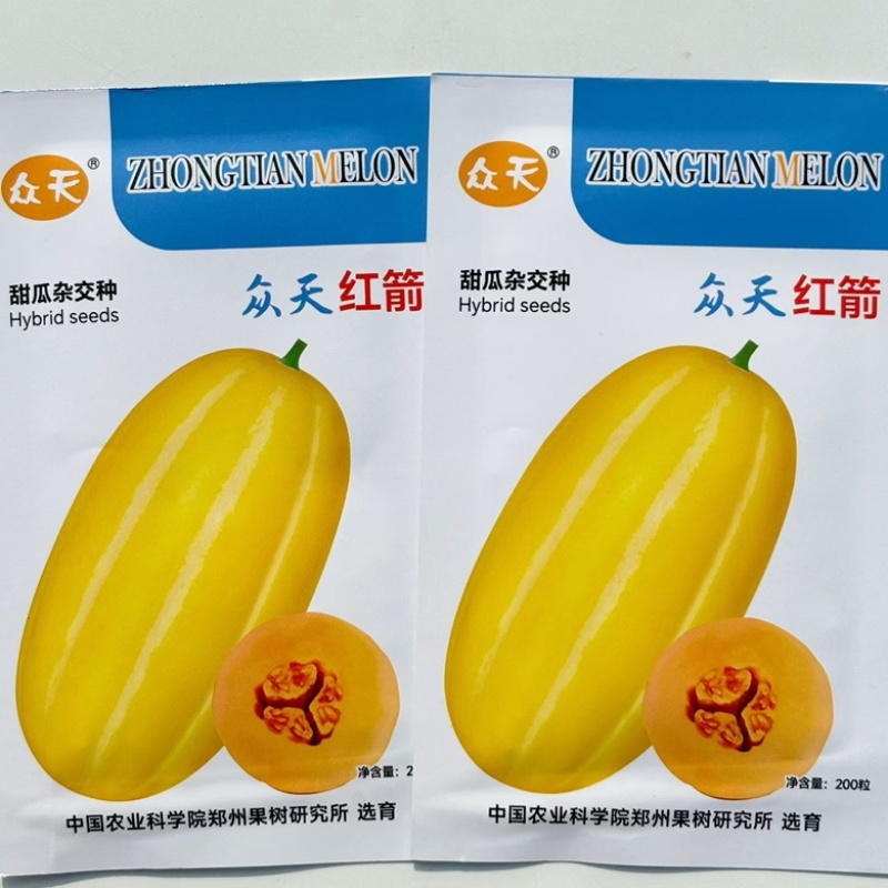 众天红箭甜瓜品种种子