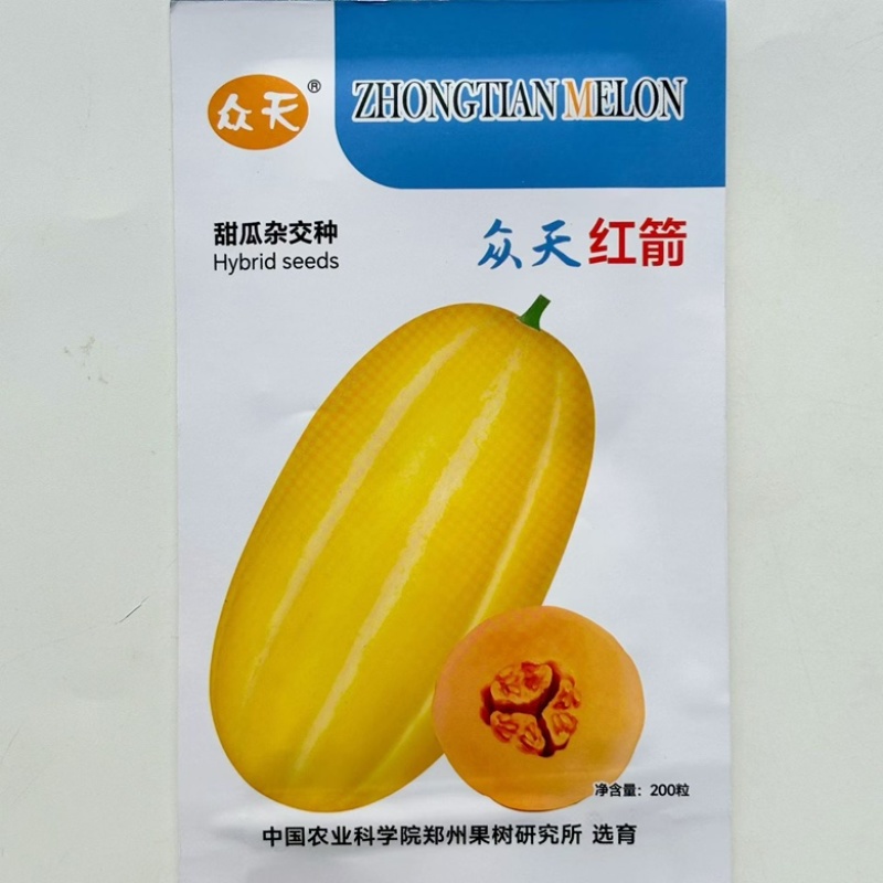 众天红箭甜瓜品种种子