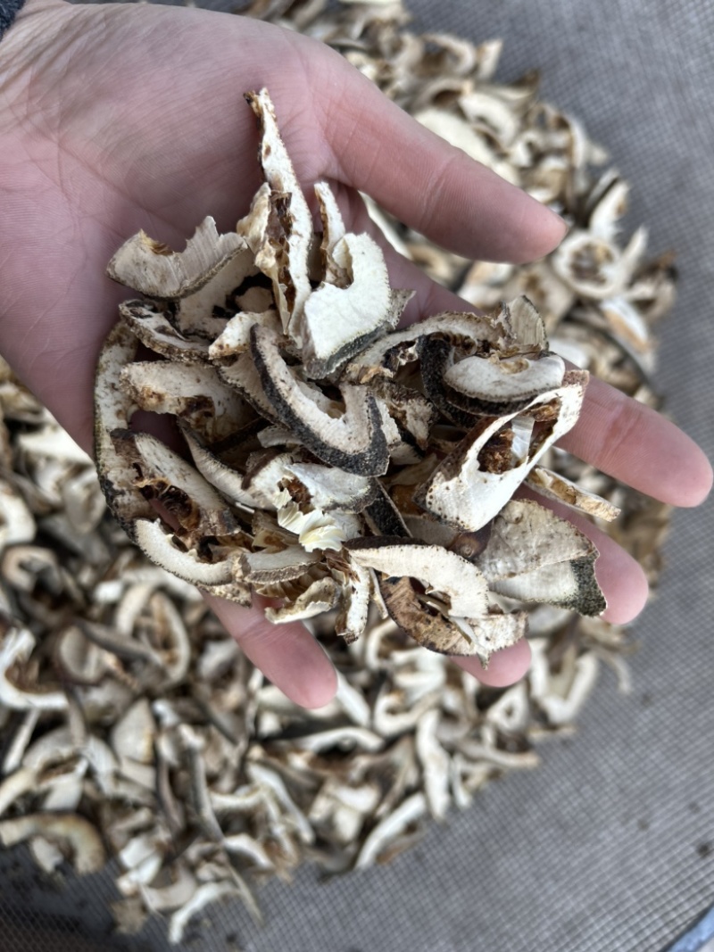 枳壳枳壳片通货批发零售各种中药材