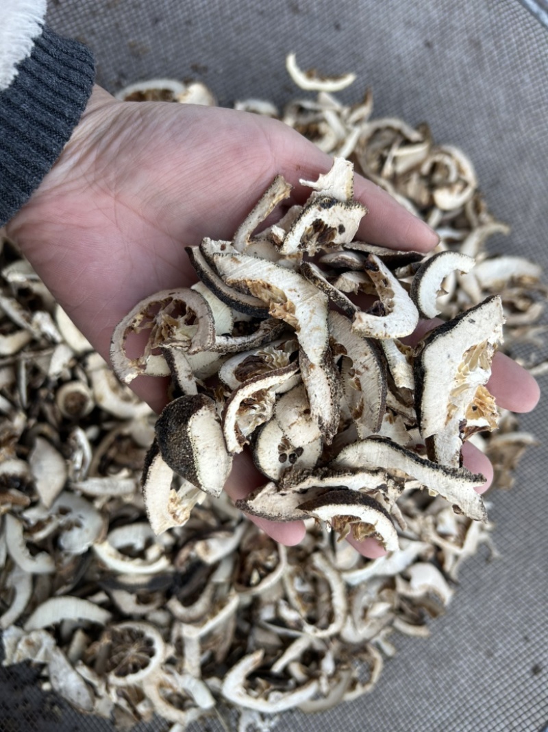 枳壳枳壳片通货批发零售各种中药材