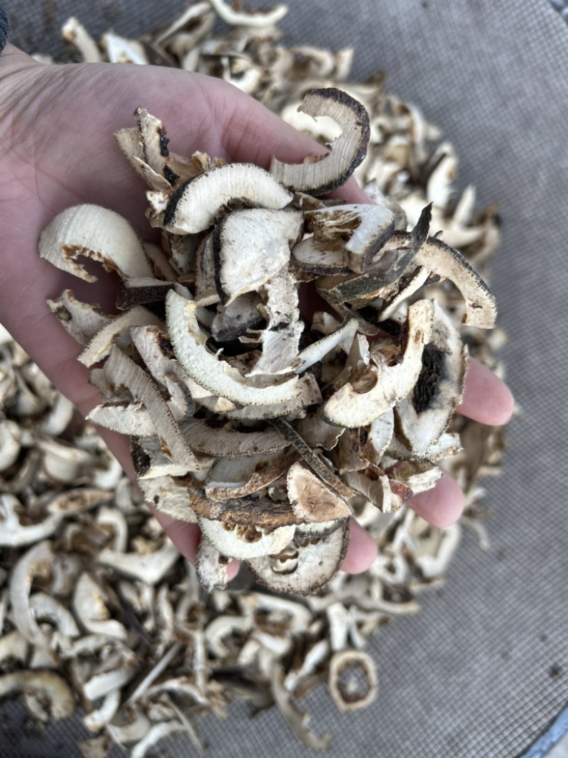 枳壳枳壳片通货批发零售各种中药材