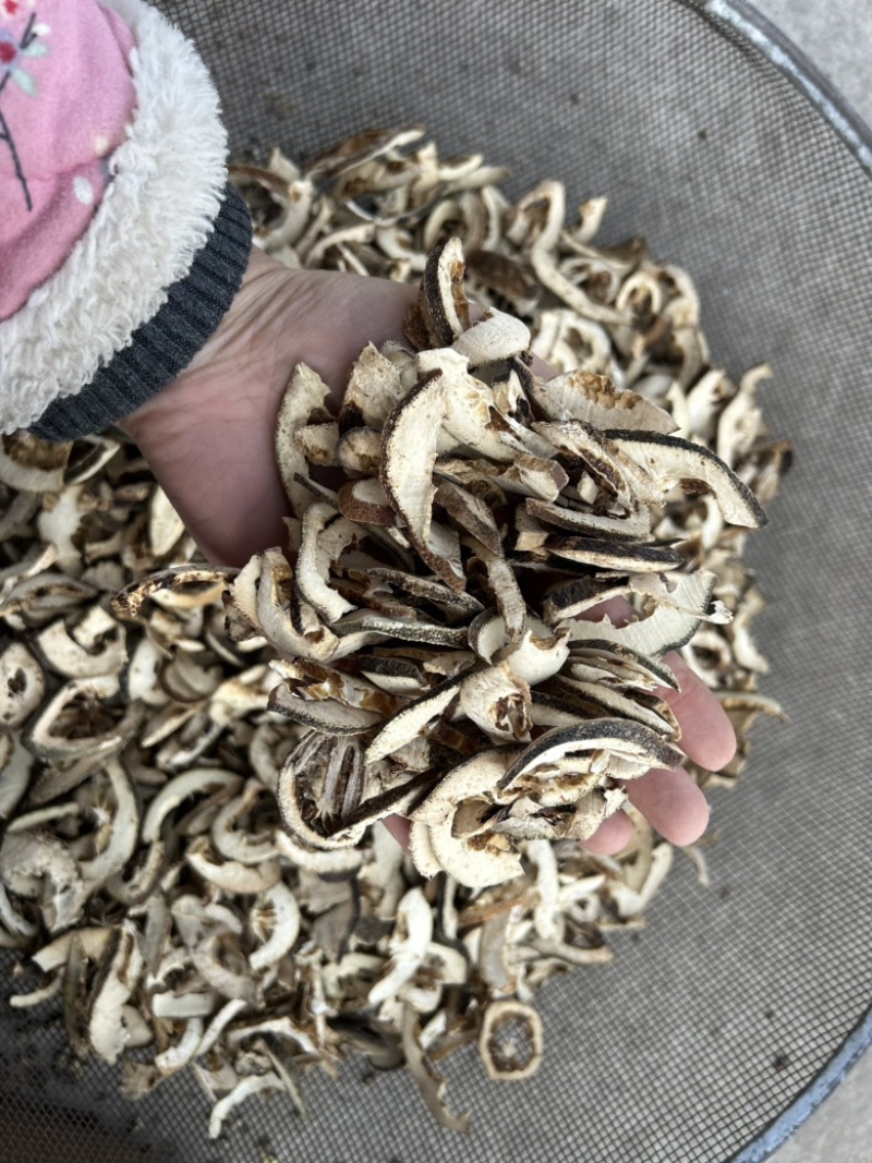 枳壳枳壳片通货批发零售各种中药材