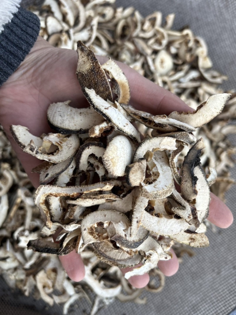 枳壳枳壳片通货批发零售各种中药材