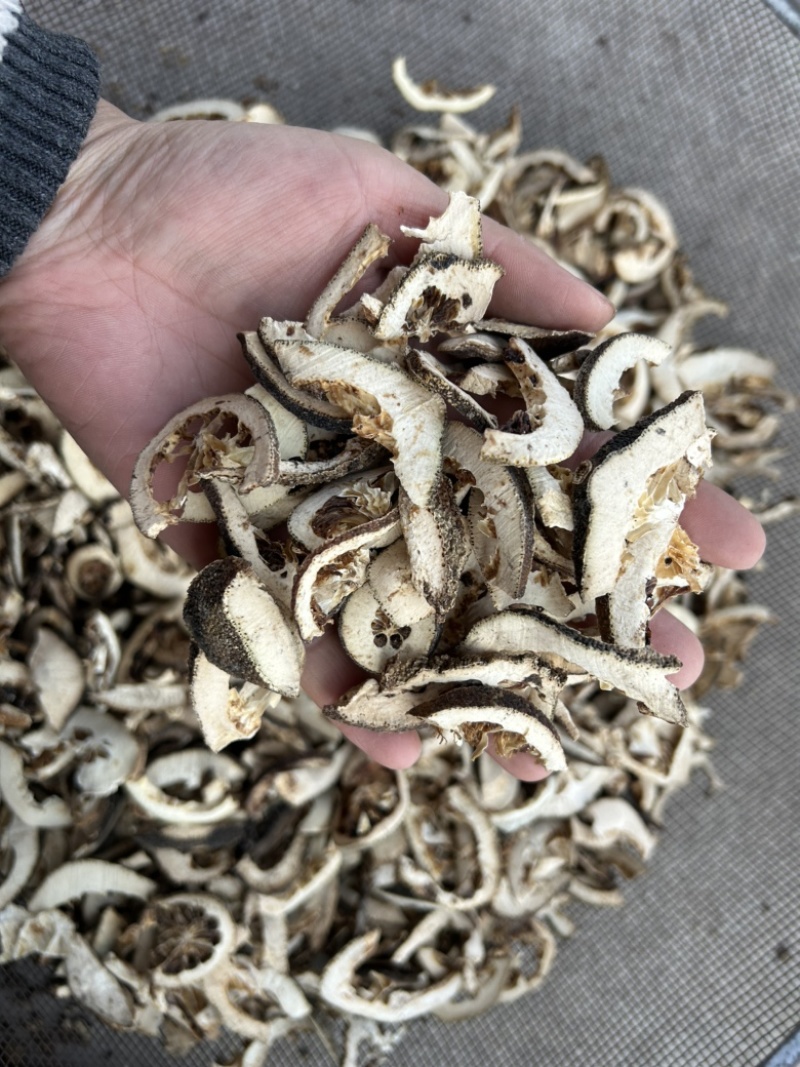 枳壳枳壳片通货批发零售各种中药材