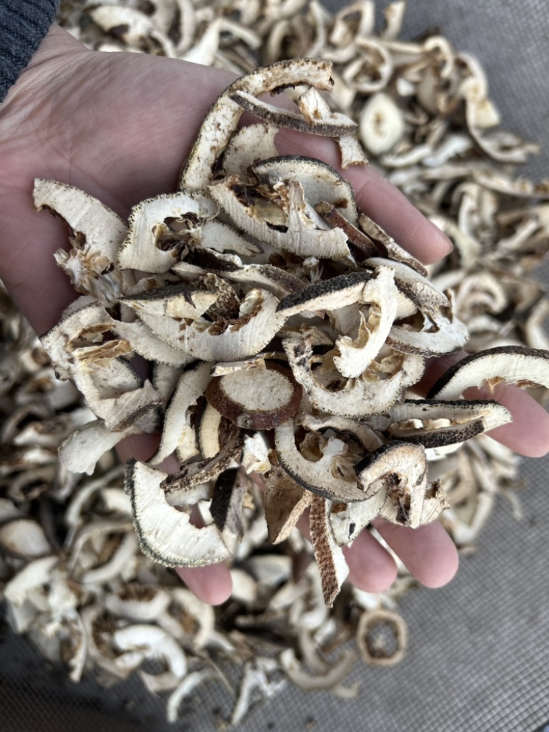 枳壳枳壳片通货批发零售各种中药材