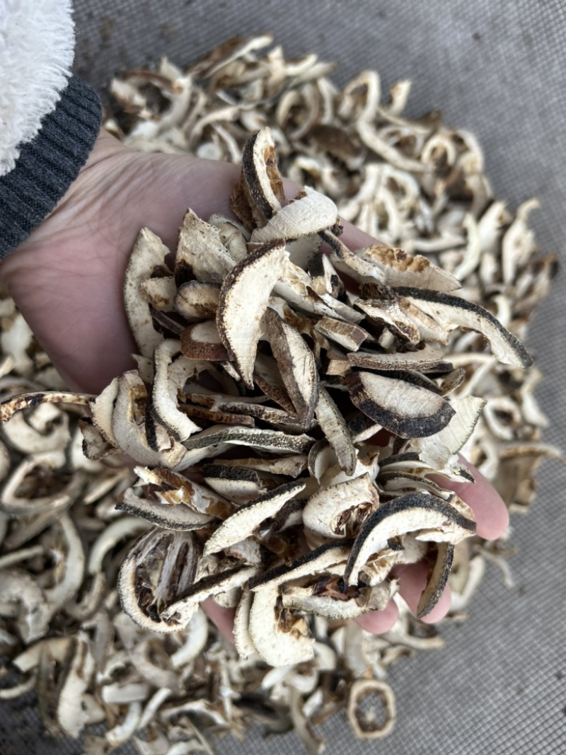 枳壳枳壳片通货批发零售各种中药材
