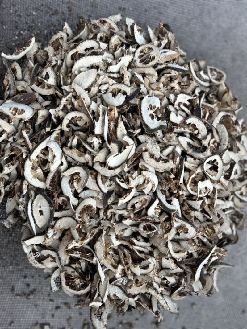 枳壳枳壳片通货批发零售各种中药材