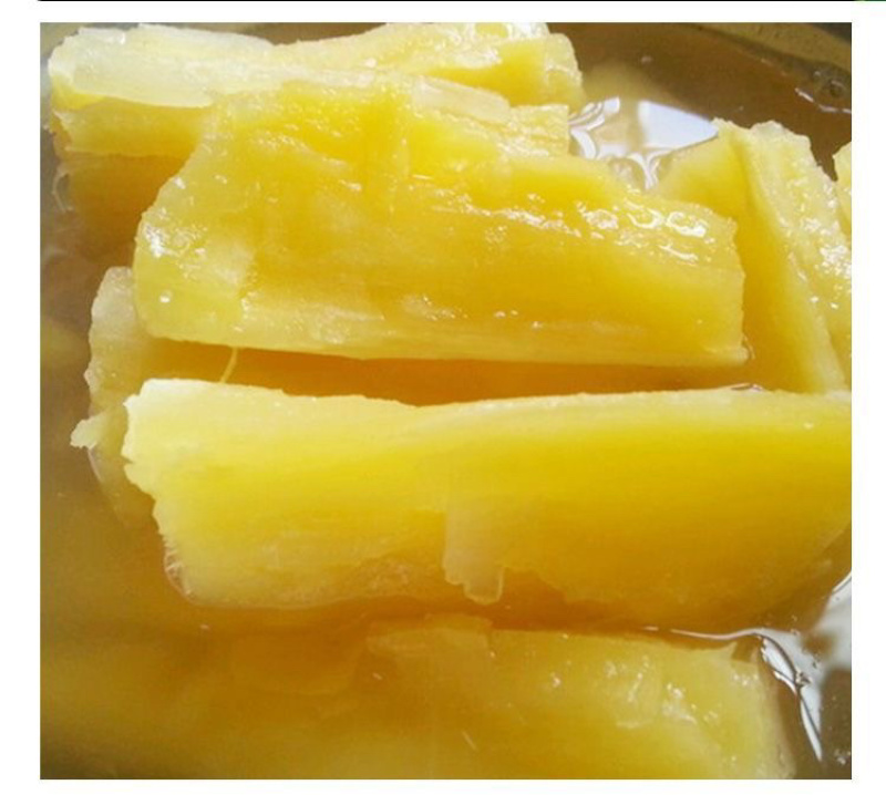 广西黄心木薯华南9号1000亩种植基地