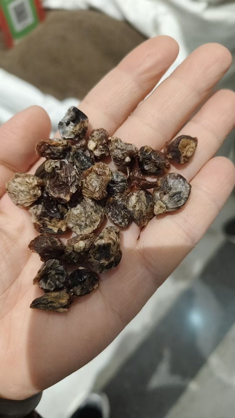 中药材薤白，各种规格量大从优实物拍摄如假包换