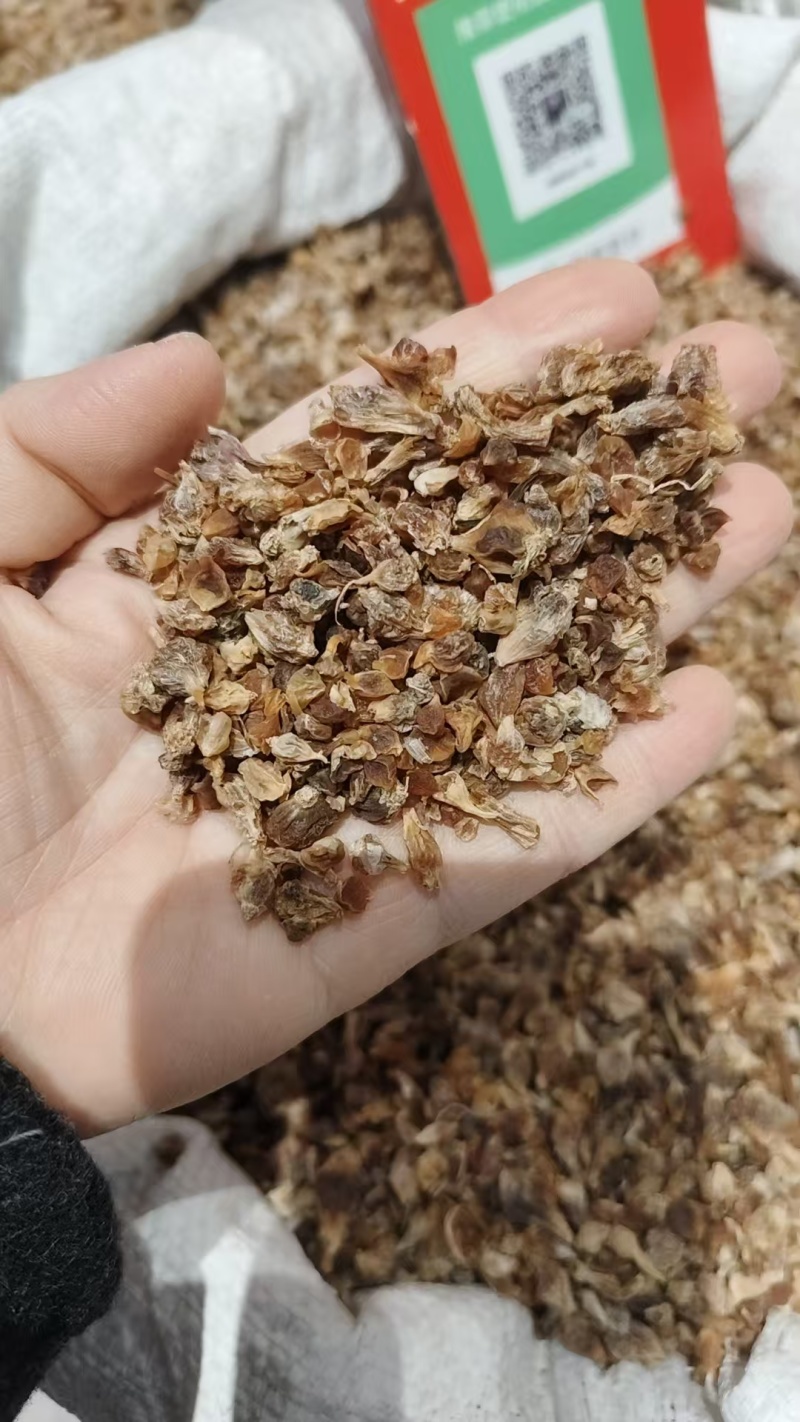 中药材薤白，各种规格量大从优实物拍摄如假包换