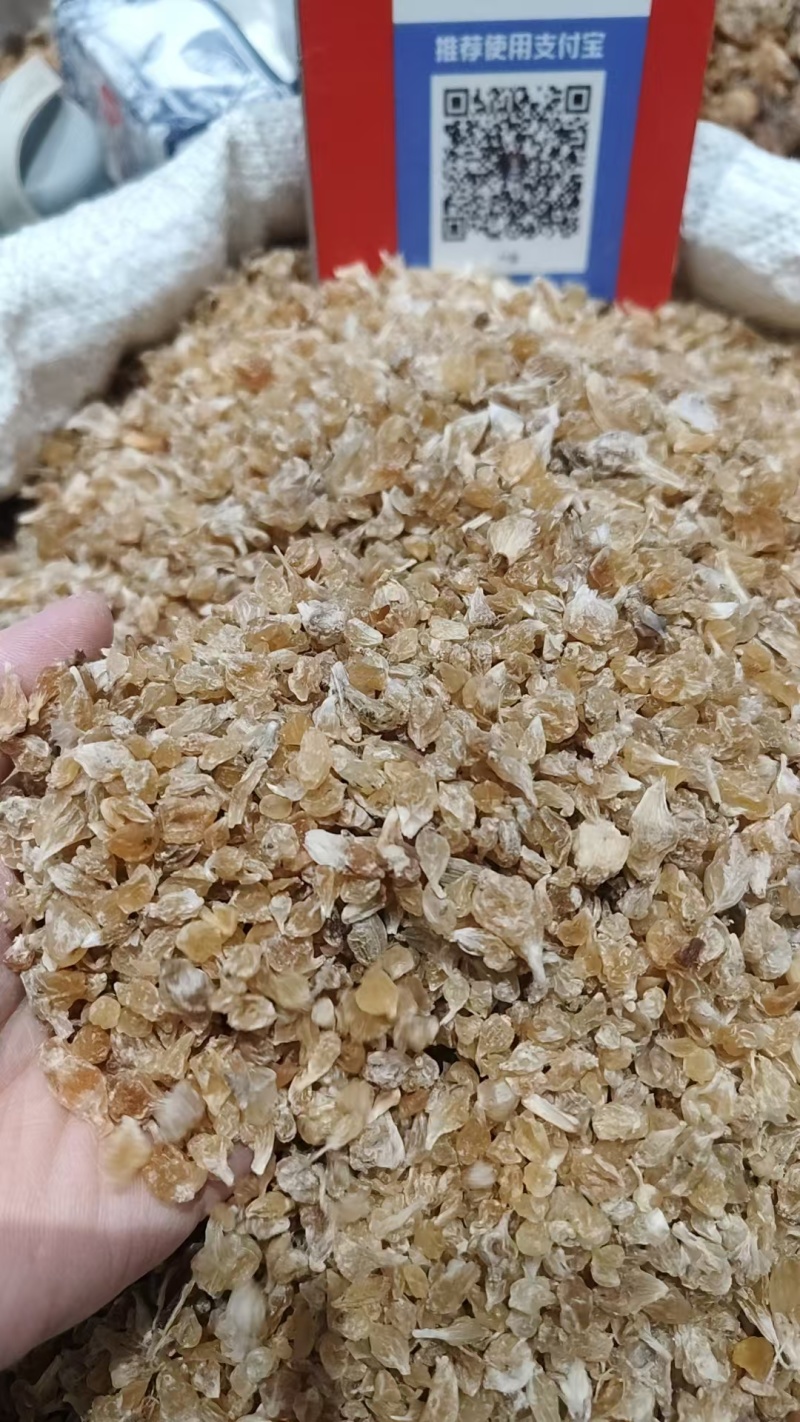 中药材薤白，各种规格量大从优实物拍摄如假包换