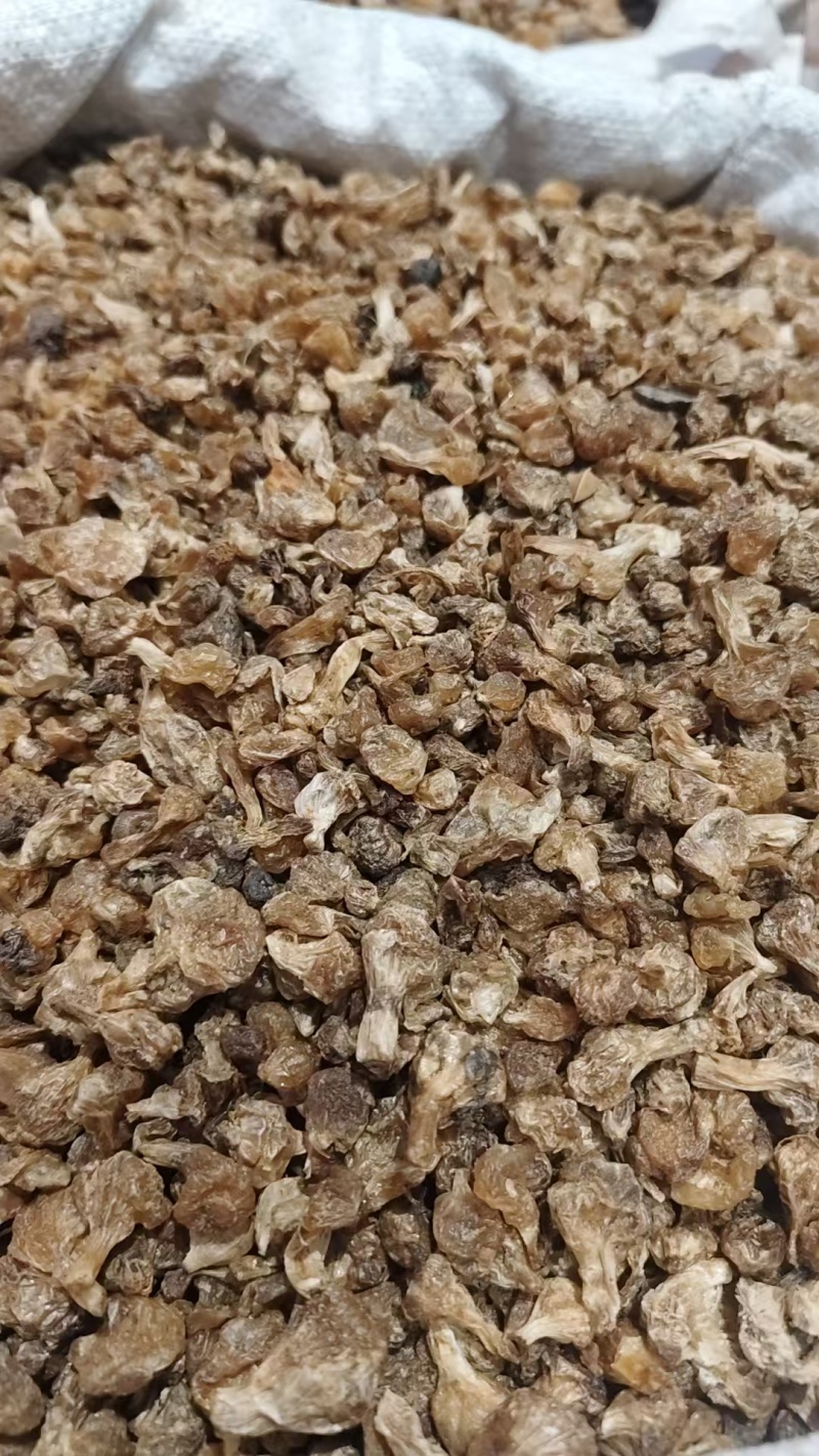 中药材薤白，各种规格量大从优实物拍摄如假包换