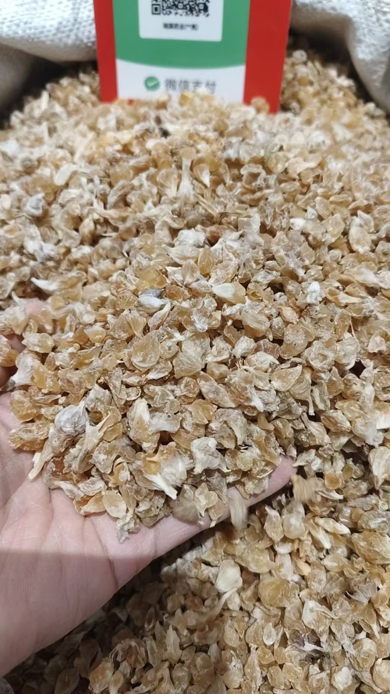 中药材薤白，各种规格量大从优实物拍摄如假包换