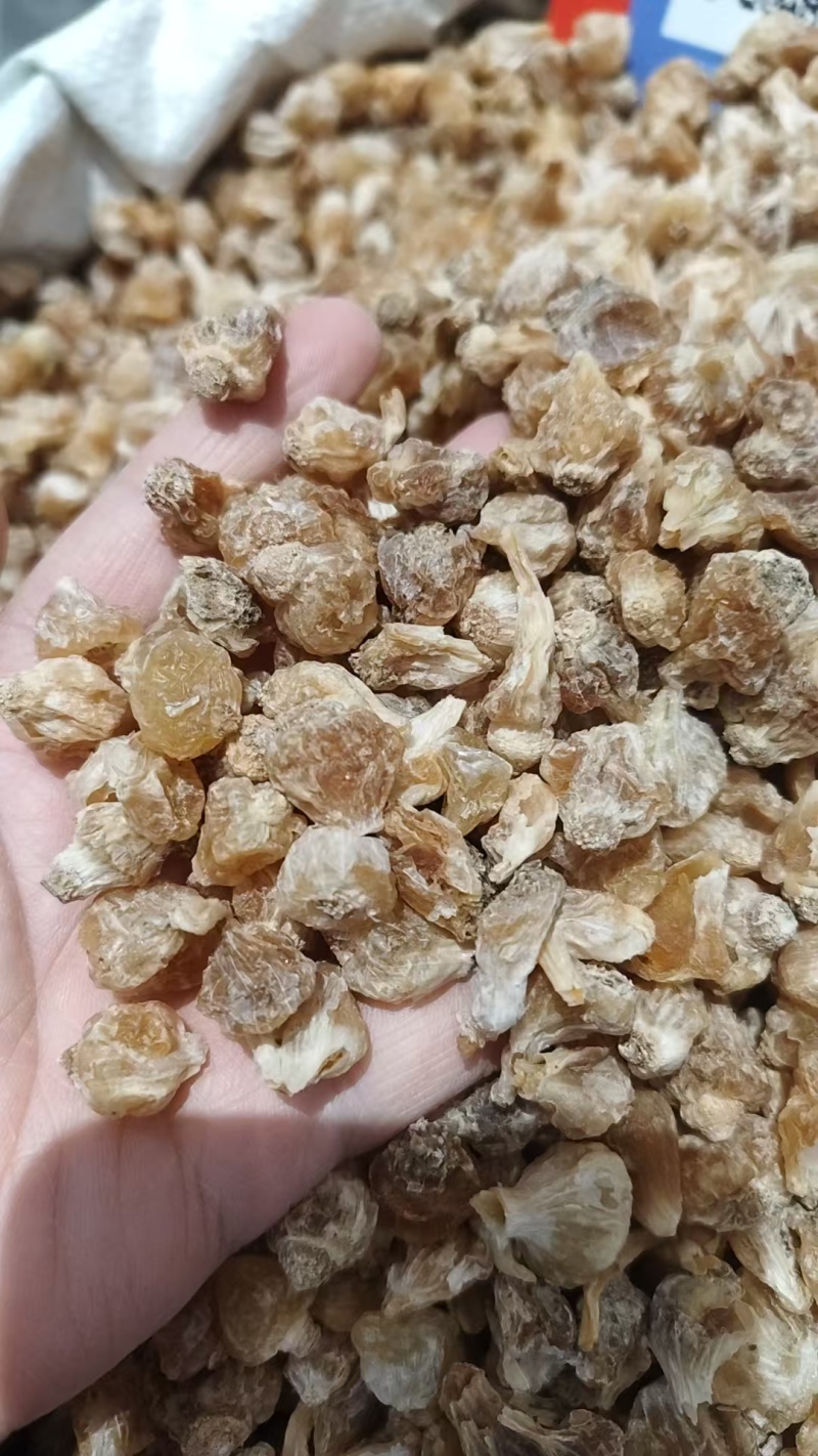 中药材薤白，各种规格量大从优实物拍摄如假包换