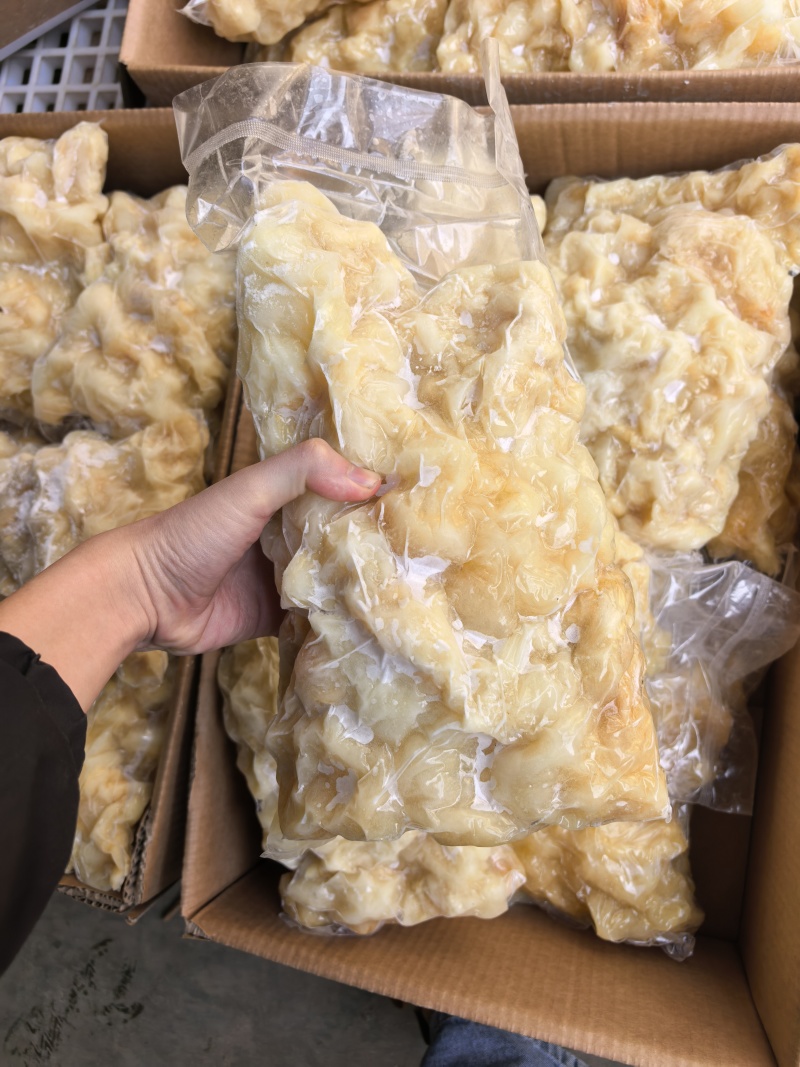 山东水发牛蹄筋新鲜上市厂家直发价格美丽五斤一袋质量保证