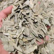 中药材番泻叶批发零售货真价实实图拍摄如假包换
