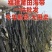 福建精品海带/福建干海带/无沙挂晒海带/发泡高价美