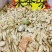 25年新瓜子精品五香原味果茶网红新品各种等级口味厂家直销