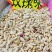 25年新瓜子精品五香原味果茶网红新品各种等级口味厂家直销
