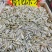 25年新瓜子精品五香原味果茶网红新品各种等级口味厂家直销