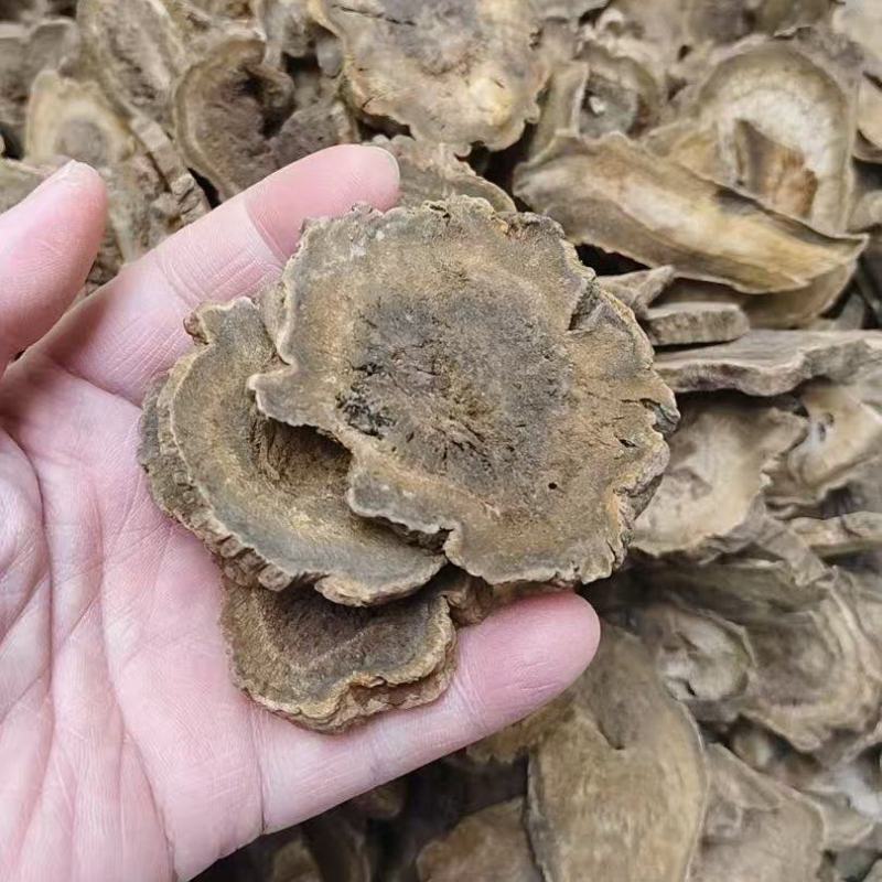 中药材大黄，马蹄黄，山西大黄水根大黄甘肃大黄，各种规格实