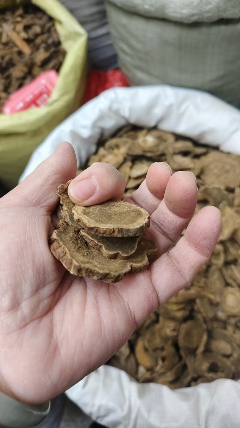 中药材大黄，马蹄黄，山西大黄水根大黄甘肃大黄，各种规格实