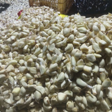 山东临沂去皮蒜米，厂家直销当季新鲜剥皮蒜商用蒜米蒜泥