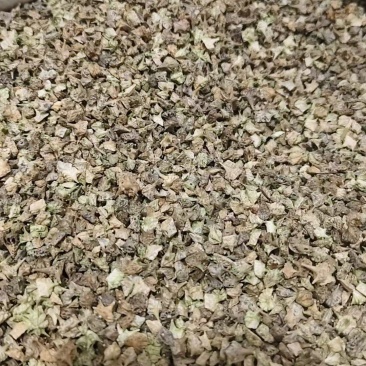 中药材蒺藜，刺蒺藜，，绿蒺藜，黄蒺藜，现货供应，实物拍摄