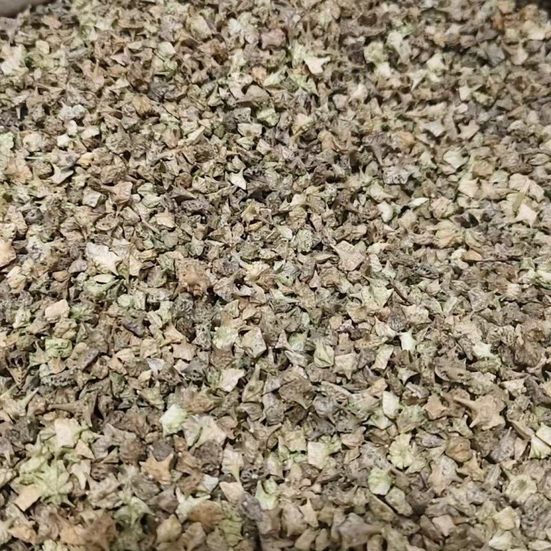 中药材蒺藜，刺蒺藜，，绿蒺藜，黄蒺藜，现货供应，实物拍摄