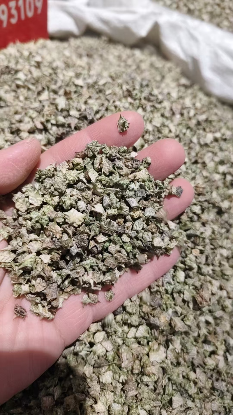 中药材蒺藜，刺蒺藜，，绿蒺藜，黄蒺藜，现货供应，实物拍摄