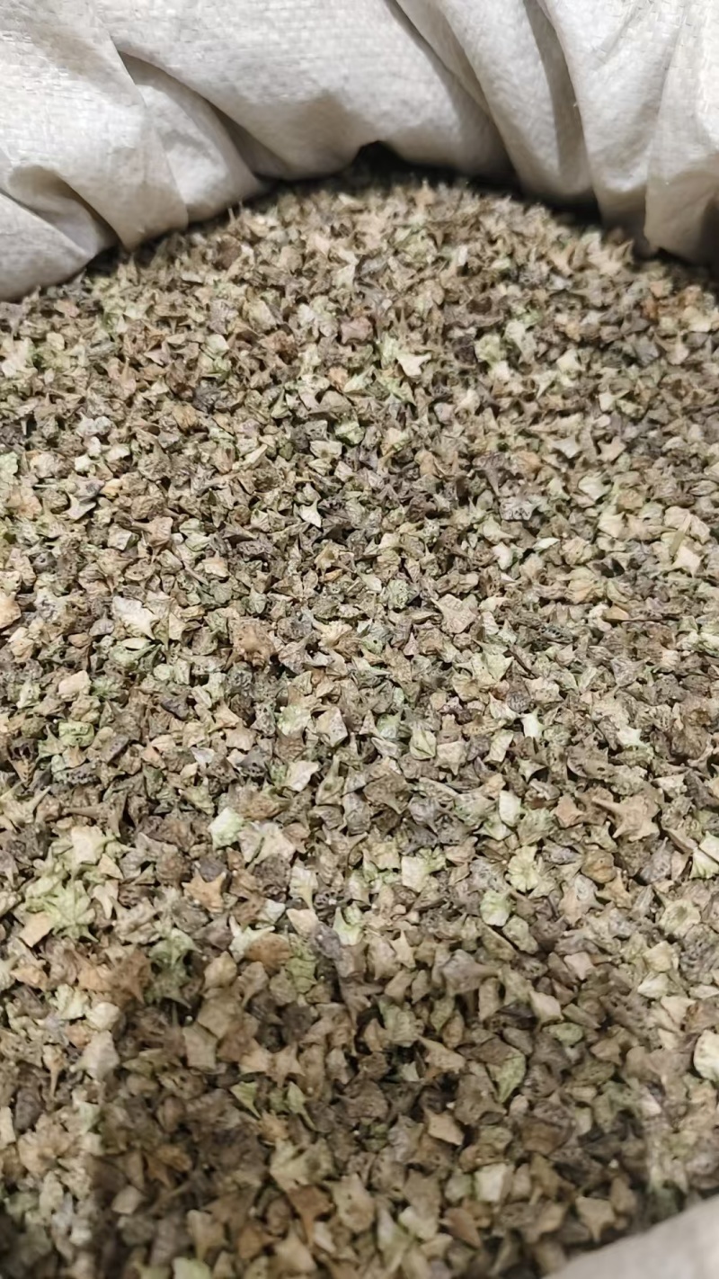 中药材蒺藜，刺蒺藜，，绿蒺藜，黄蒺藜，现货供应，实物拍摄