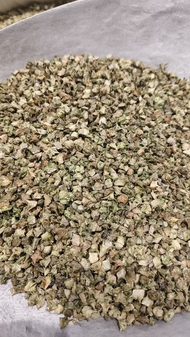中药材蒺藜，刺蒺藜，，绿蒺藜，黄蒺藜，现货供应，实物拍摄