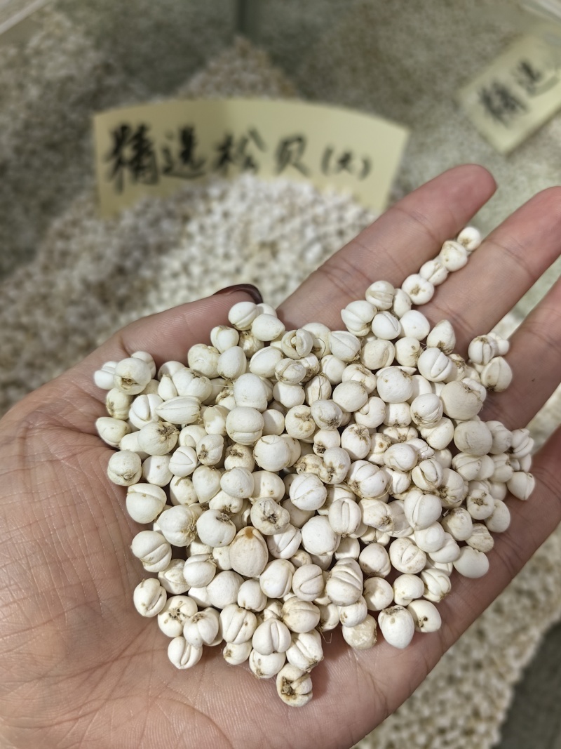 松贝精选贝母优质假一罚十