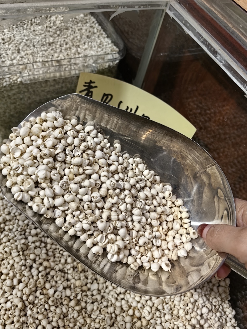 青贝优质青贝货真价实