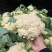 福建精品菜花松花菜有机花基地直供量大从优欢迎联