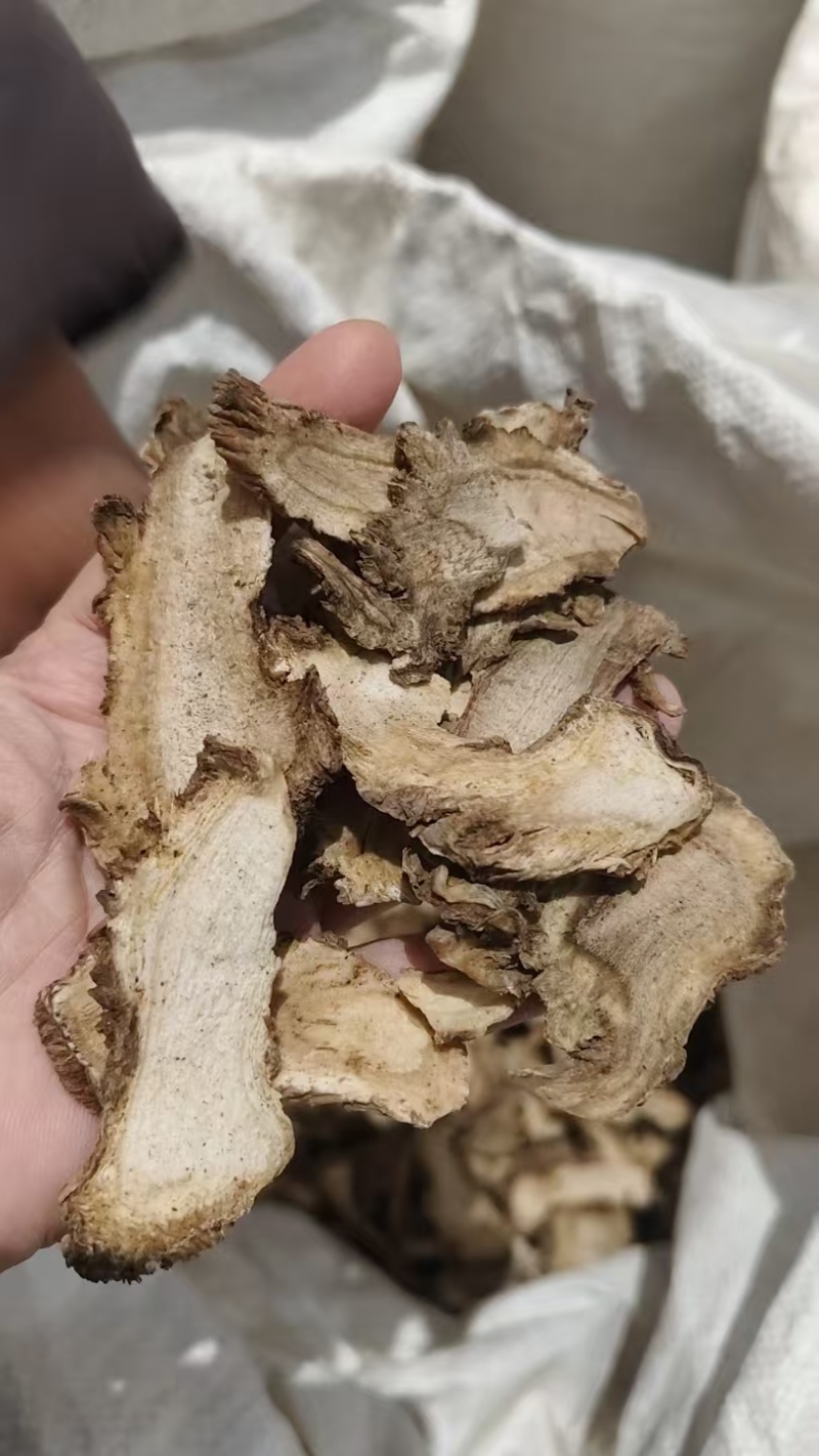 中药材独活各种各样的规格都有现货大货需要的老板可以下单哦