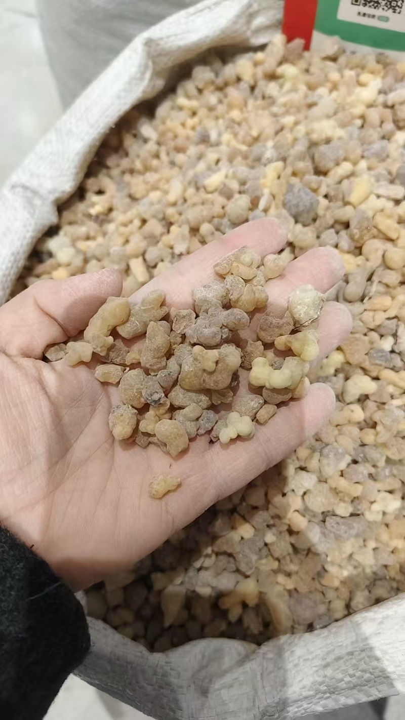中药材乳香，各种各样的规格都有现货大货需要的老板可以下单