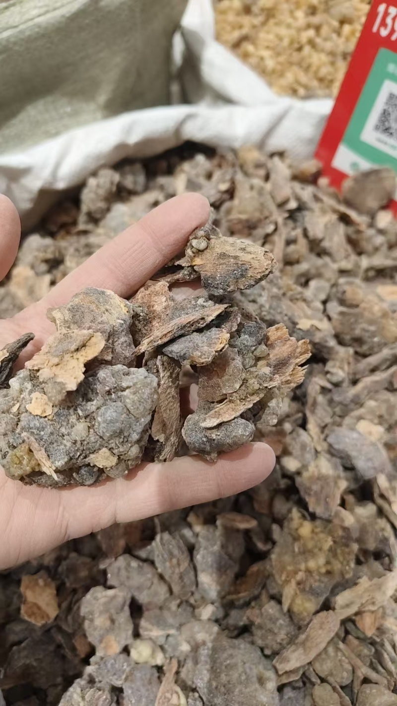 中药材乳香，各种各样的规格都有现货大货需要的老板可以下单