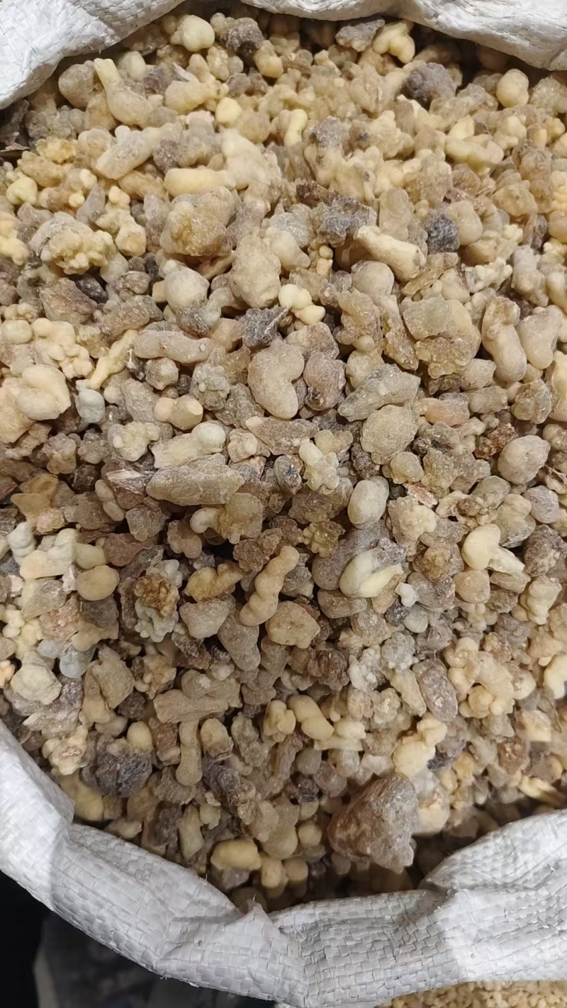 中药材乳香，各种各样的规格都有现货大货需要的老板可以下单