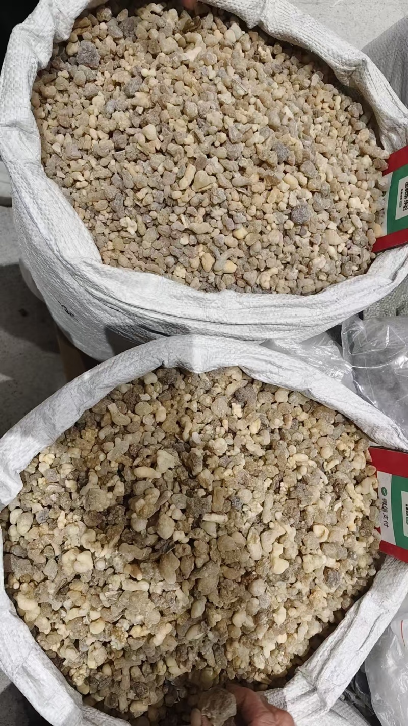 中药材乳香，各种各样的规格都有现货大货需要的老板可以下单