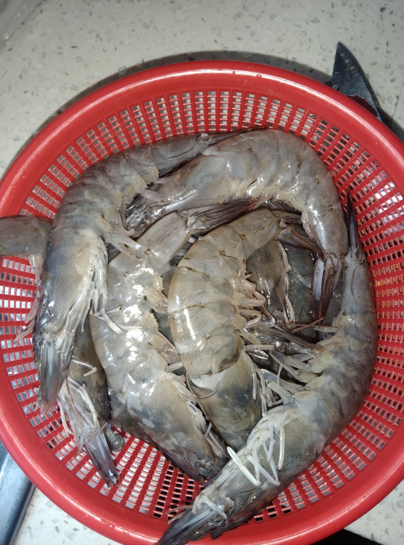 精品鲜虾每斤22条左右13.5每斤，适合电商餐饮社区团购