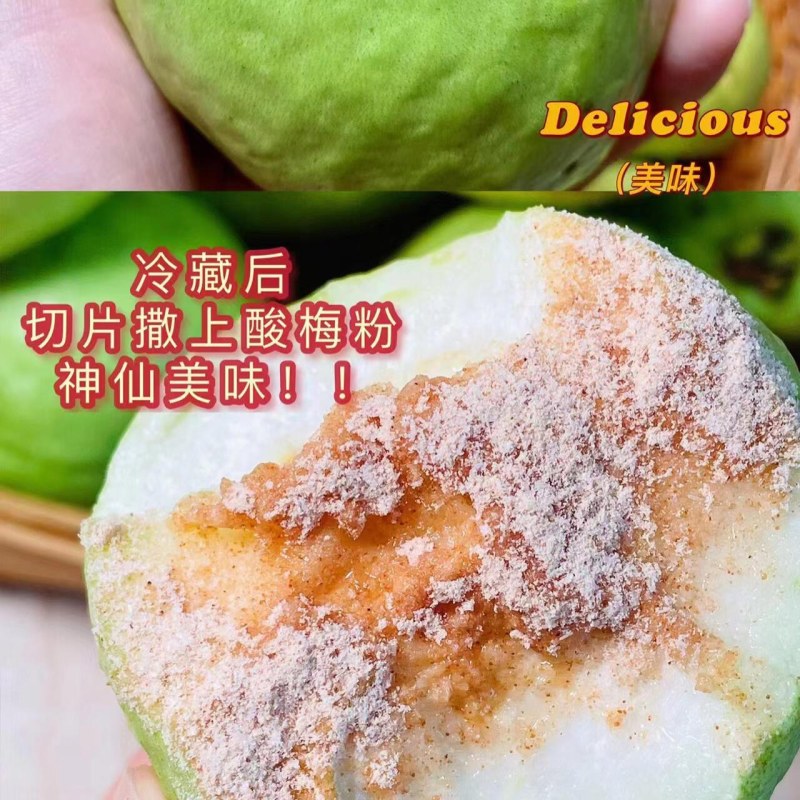 福建漳州芭乐，白心番石榴，批发代发，商超供应