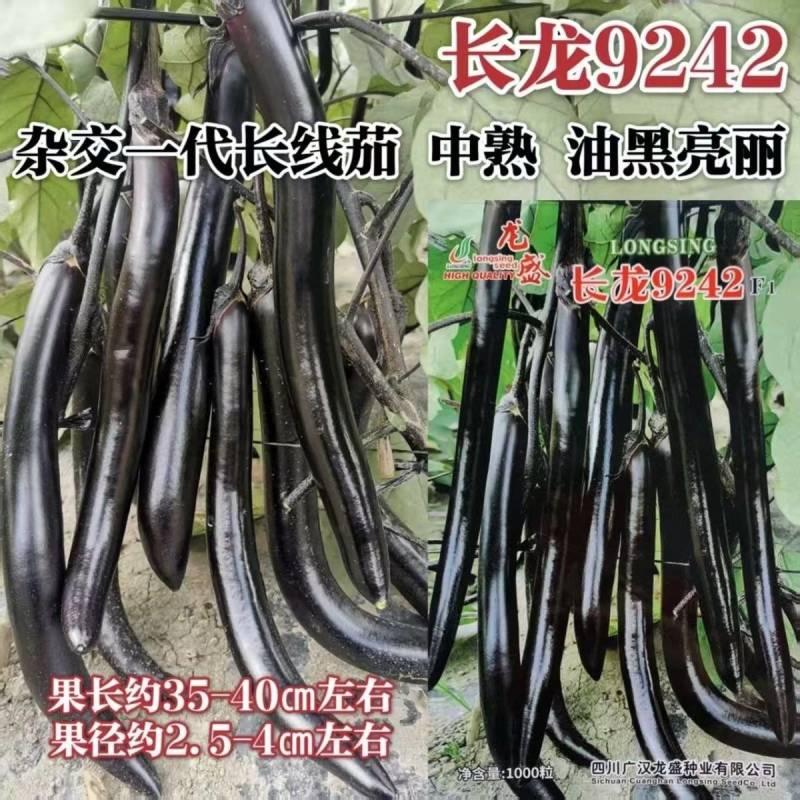 长龙9242长线茄种子杂交品种油黑亮丽耐老化鲜嫩细长茄种